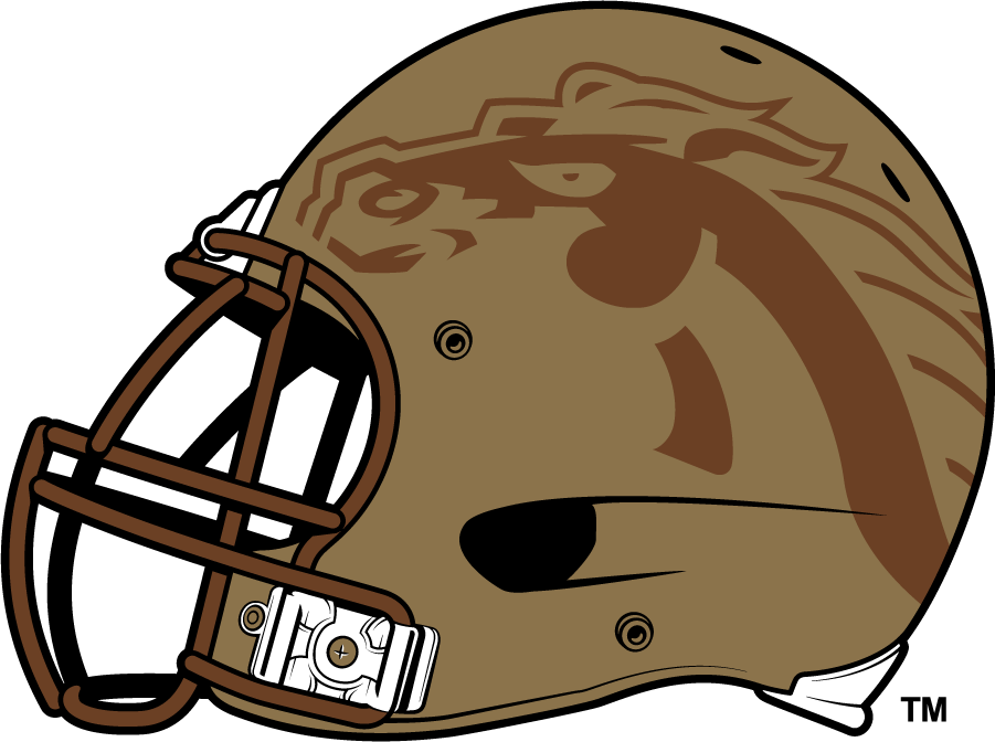 Western Michigan Broncos 2013-2020 Helmet Logo DIY iron on transfer (heat transfer)